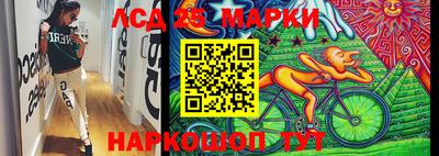 мяу мяу мука Кандалакша