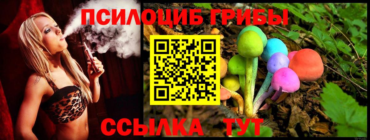 Крымск  Псилоцибиновые грибы Psilocybine cubensis  Псилоцибиновые грибы Psilocybe  Вход с VPN 